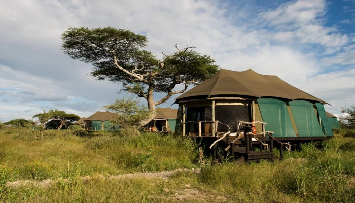 african huella : | Tanzania Safaris, Senderismo y Safaris