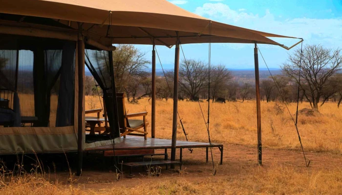 zawadi serengeti camp