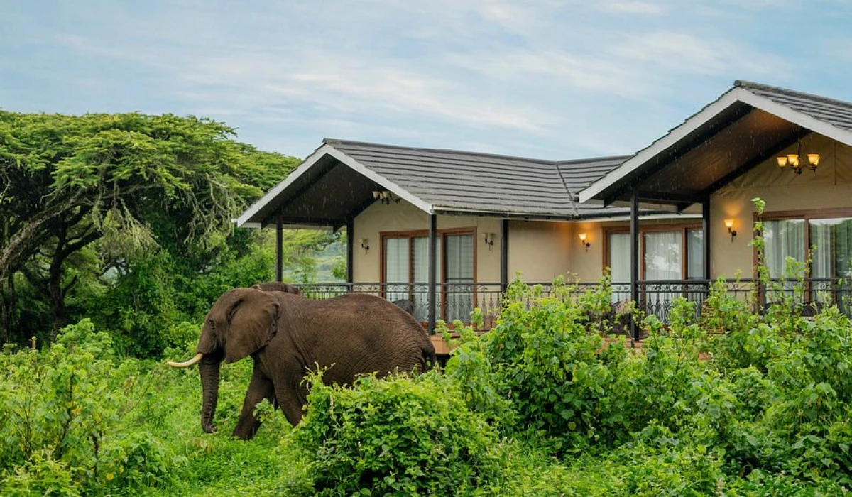 Lions Paw Camp Ngorongoro Crater