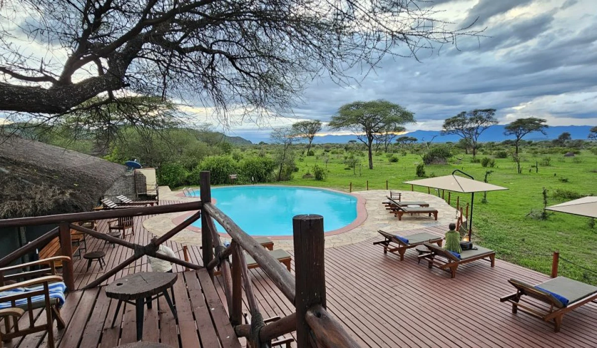 Tarangire simba lodge
