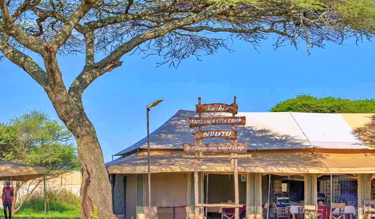 Tanzania Bush Camp