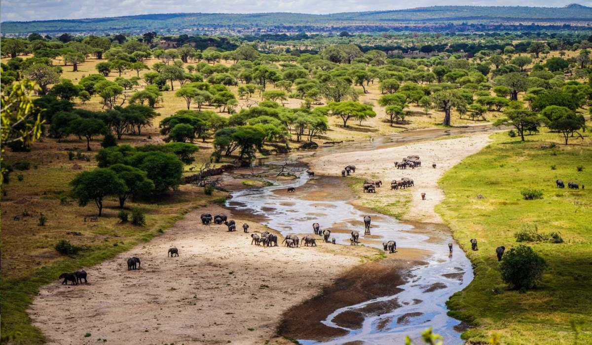 Tarangire Safari Lodge