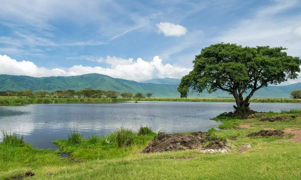 Cosas que hacer en Ngorongoro