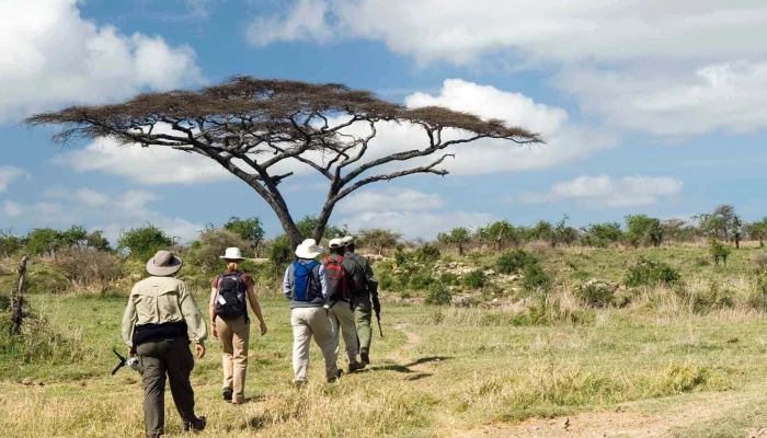 experimentar-un-safari-a-pie-en-tanzania