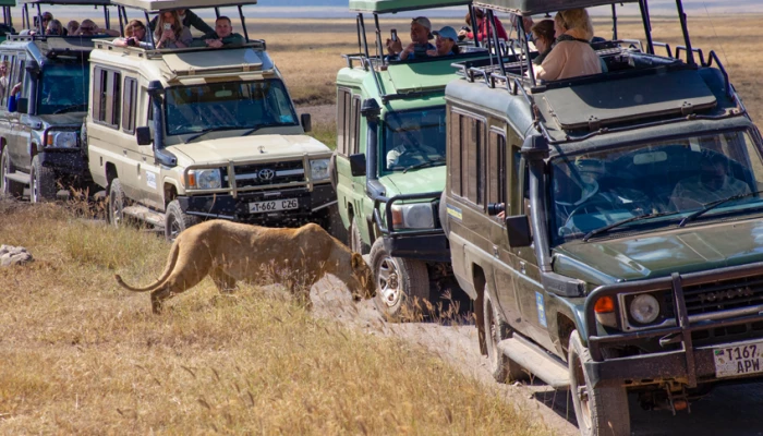 cuál-es-la-temporada-alta-en-tanzania