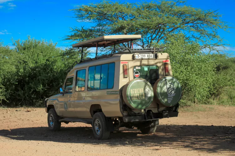 On safari Tanzania
